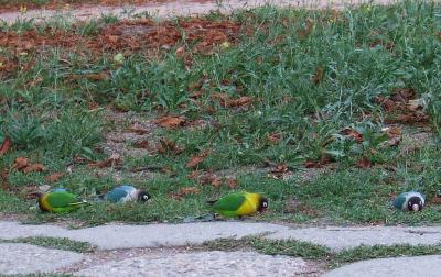 Прикрепленное изображение: 02.jpg